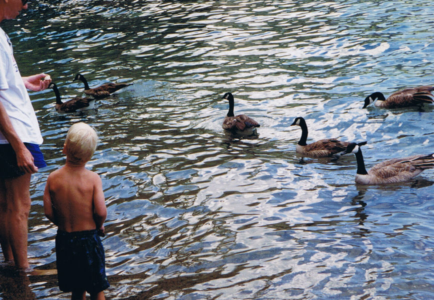 9609-GamesDayEntertainment.jpg 201.1K