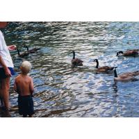 9609-GamesDayEntertainment.jpg 201.1K