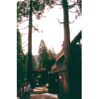 fromOldLodgeDeck.jpg 99.9K