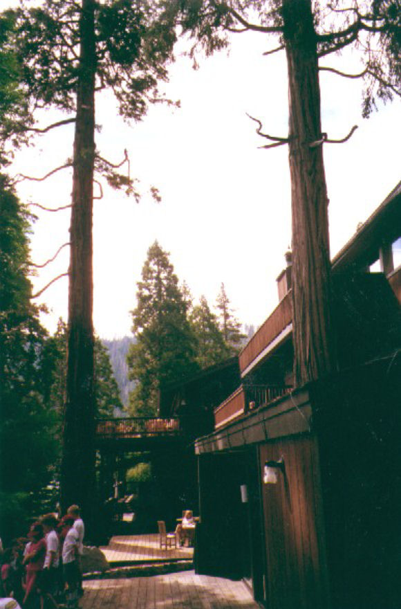 fromOldLodgeDeck.jpg 99.9K