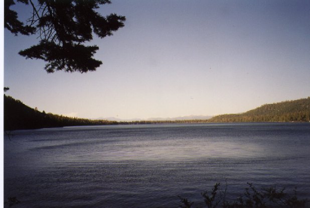 98lakeFromDeck.jpg 38.5K