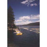 98boatDockPollen.jpg 38.4K