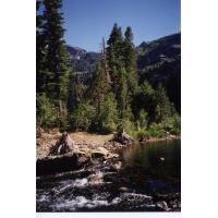 98lilyLake1.jpg 75.9K