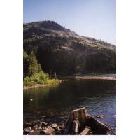 98lilyLake2.jpg 51.9K