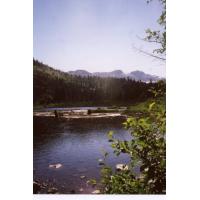 98lilyLake3.jpg 54.4K