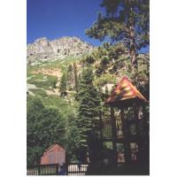 98munchkinPatch.jpg 207.9K