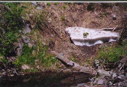 JulySnowbankWichesPond.jpg 64.3K