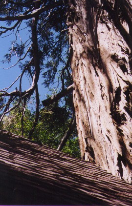 oldLodgeRoof.jpg 58.1K