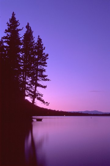 21a-StaphPhotogScenic.JPG 22.7K