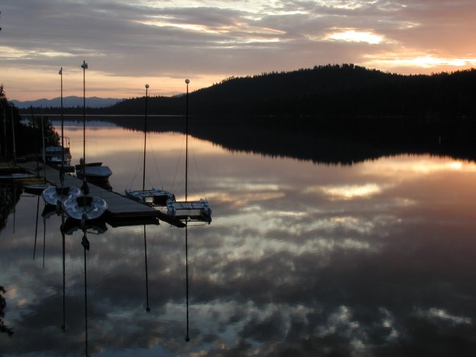 21b-StaphPhotogScenic.JPG 45.2K