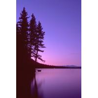 21a-StaphPhotogScenic.JPG 22.7K