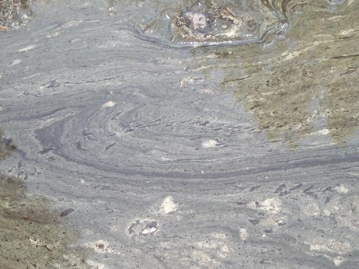 0976-PollenOnPuddle.jpg 38.7K