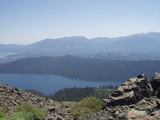 0990-009-FallenLeafFromNearTopOfTallac.jpg 24.9K