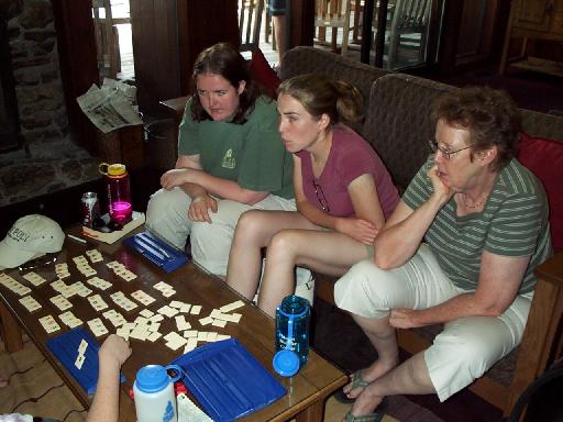 1025-RummyCub.jpg 39.1K