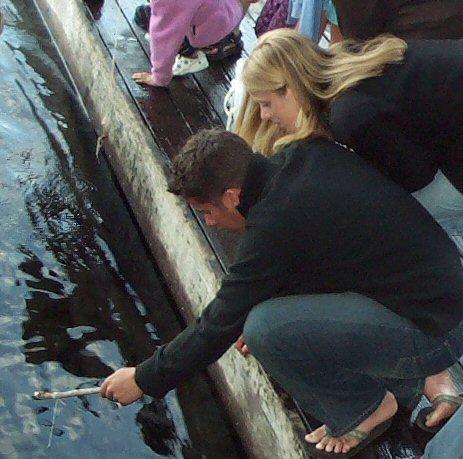 1031-c-FridayCrawdadFishing.jpg 44.9K