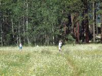 Thumb_0963-HikeAroundLake-MeadowPhotog.jpg 9.7K