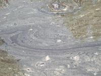 Thumb_0976-PollenOnPuddle.jpg 6.8K