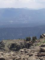 Thumb_1003-014-FallenLeafFromNearTallacTop.jpg 6.2K