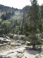 Thumb_1019-016-LookingUpTamarackTrail.jpg 9.3K