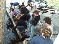 Thumb_1031-FridayCrawdadFishing.jpg 9.8K