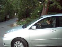 Thumb_1033-JenniferOffForLompoc.jpg 6.6K