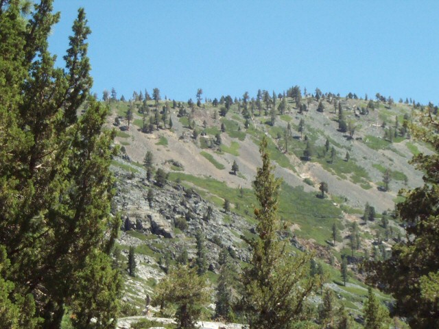 04016MidTallac-hike-fromGlenAlpineTrail.jpg 163.2K