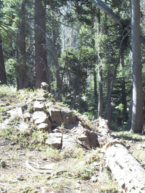 04031-LongHike-StartOfBenderTrail.jpg 204.9K