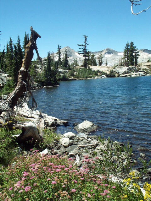 04046-Jabu-Flowers-PyramidPeak-01.jpg 195.8K