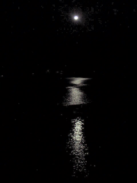 04098-MoonlightOnLake.jpg 78.5K