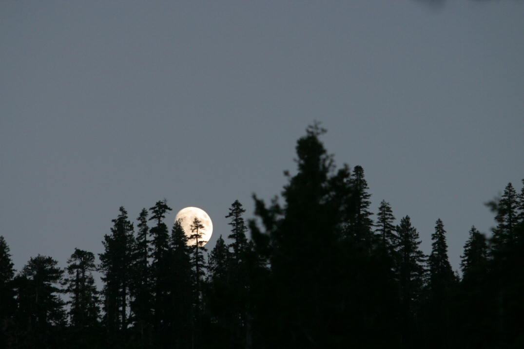 04100-RisingMoonOverMoraine-StaphPhoto.jpg 223.8K