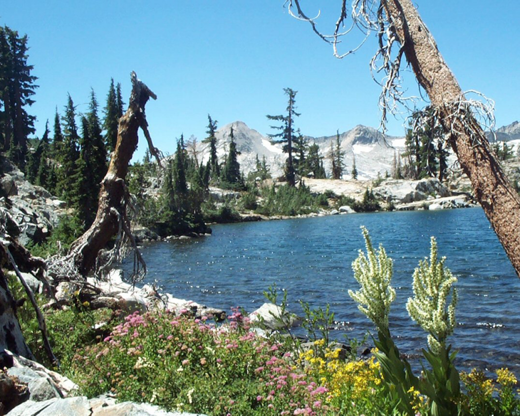 Background-Jabu-Flowers-PyramidPeak-2004-1024.bmp 2457.1K