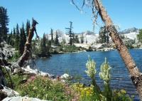 Thumb_04047-Jabu-Flowers-PyramidPeak-02.jpg 9.0K