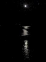 Thumb_04098-MoonlightOnLake.jpg 2.1K