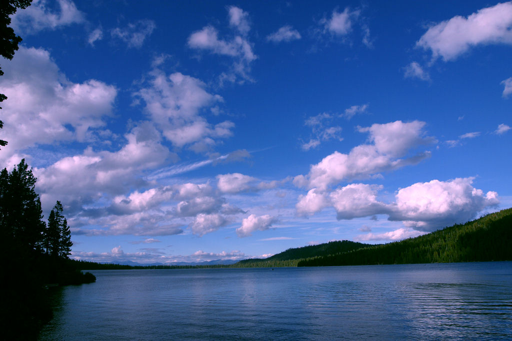 SSC05-00-StaphPhoto.jpg 117.7K