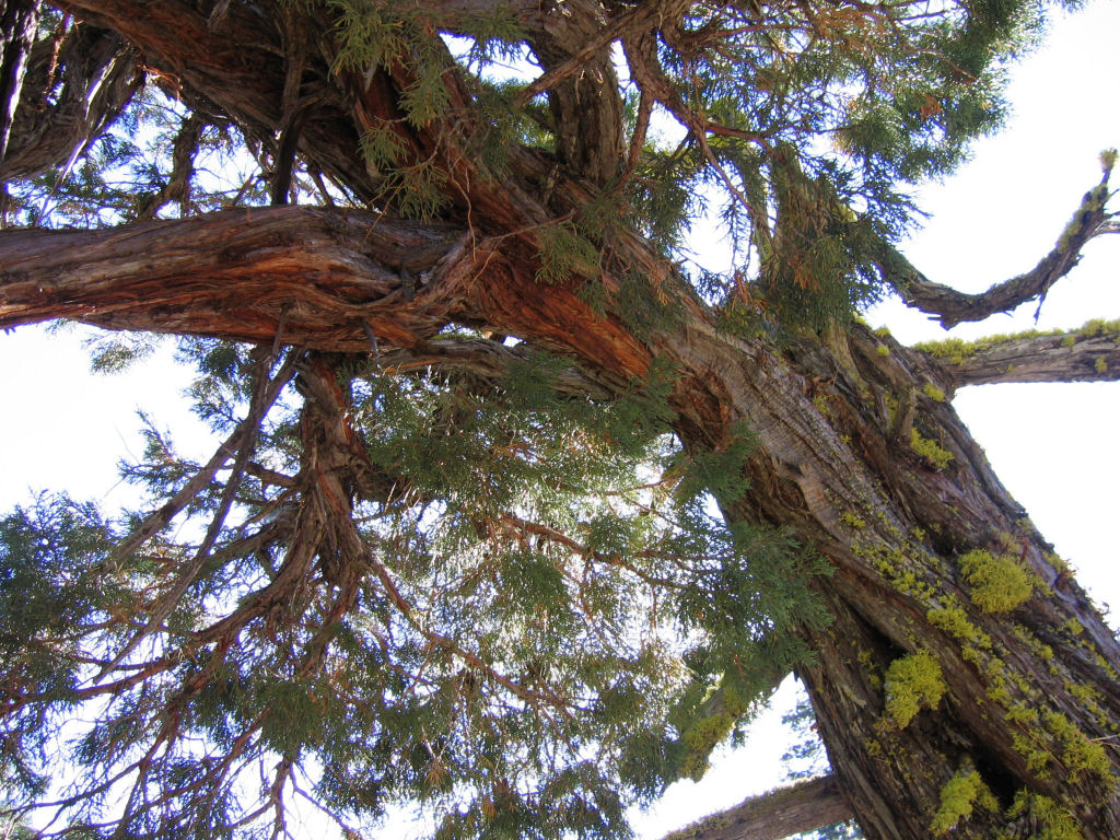 SSC05-27-AtLowerFalls.jpg 301.7K