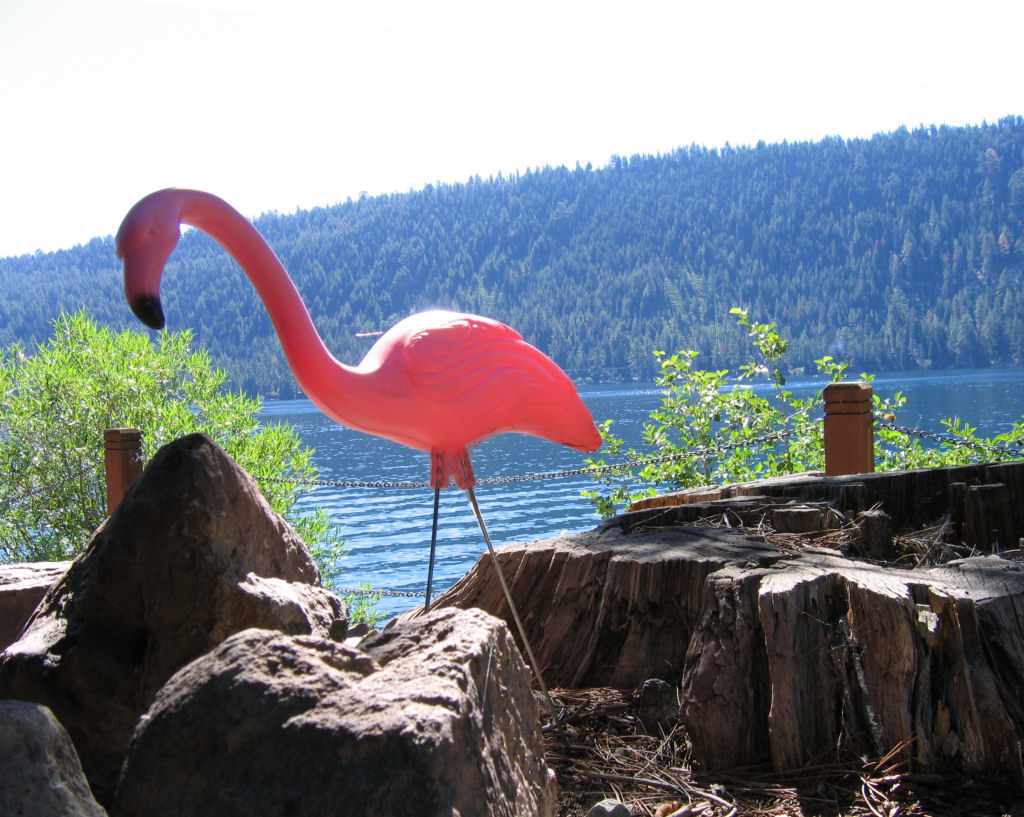 SSC05-28-StaphCabinDecor.jpg 199.0K