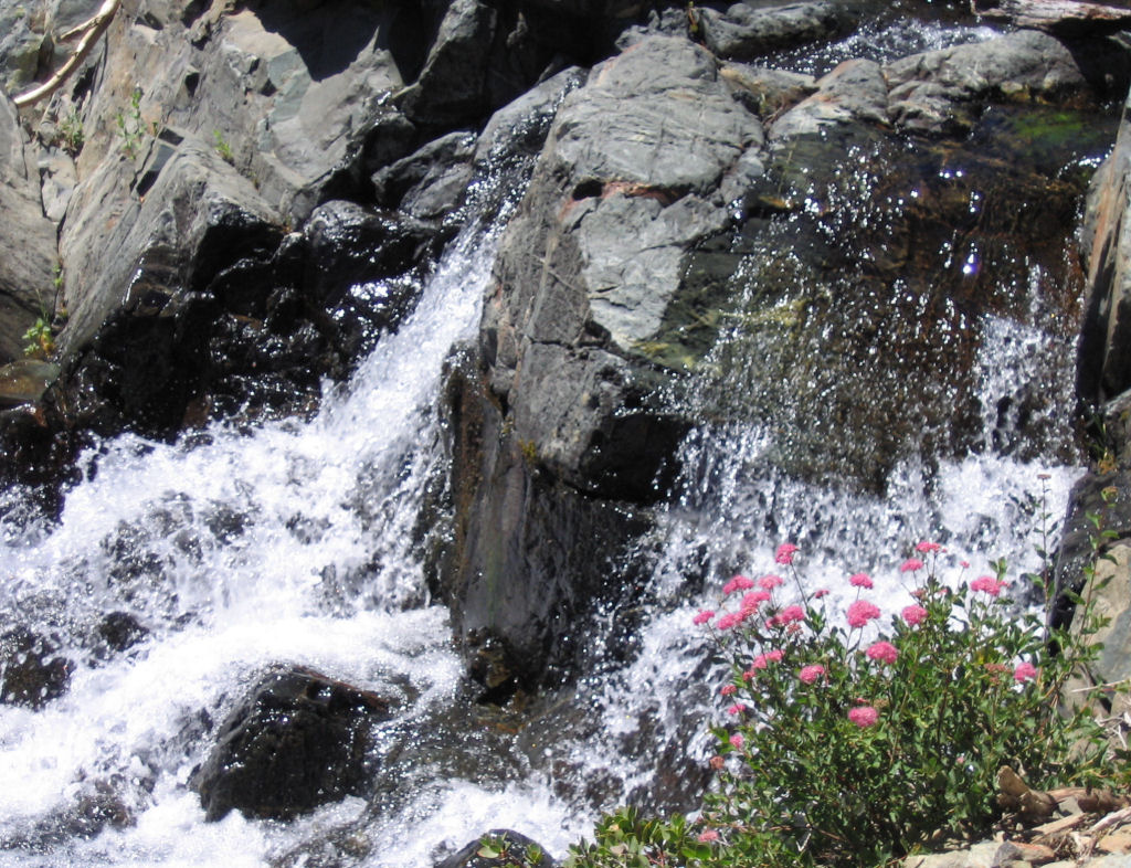 SSC05-34-FlowersGlenAlpineTrail.jpg 248.1K