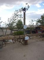 Thumb_SSC05-70-395NearPearsonville-PhotoByVal.jpg 6.6K