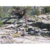 0604-SteveRockScampering.JPG 185.9K