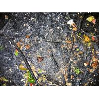 0609-DinnerCleanupDebris-Abstract.JPG 220.0K