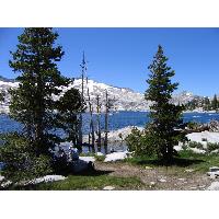 0629-LakeAloha2-SteveJennifer.JPG 183.5K