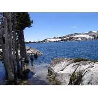 0632-LakeAloha5-JenniferWading2.JPG 163.1K