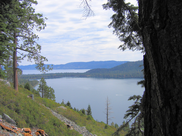 0717-FallenLeaf-Tahoe-FromCathedralTrail-2.JPG 421.2K