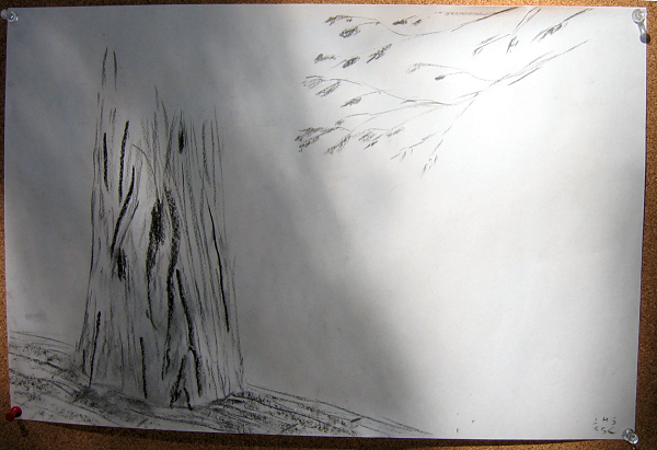 0720-CharcoalTree.JPG 314.8K
