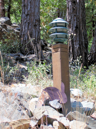 0728-Art-04-FindTheRabbit.JPG 416.3K