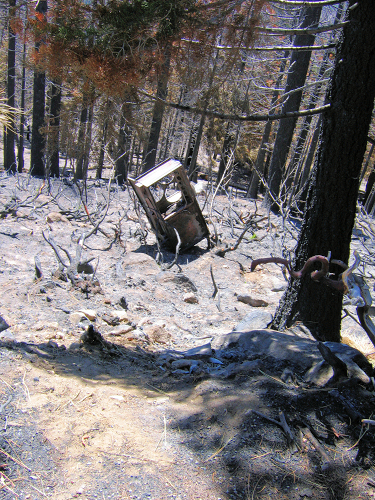 0738-AngoraBurn-ElectricStove-1.JPG 429.3K