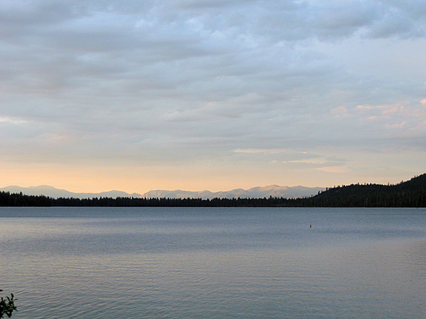 0750-FallenLeafAtDusk.JPG 368.6K