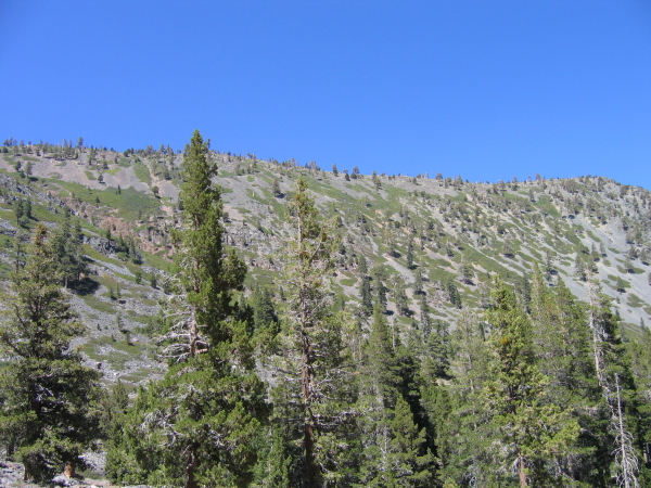 0755-CathedralSlope-C.JPG 427.5K