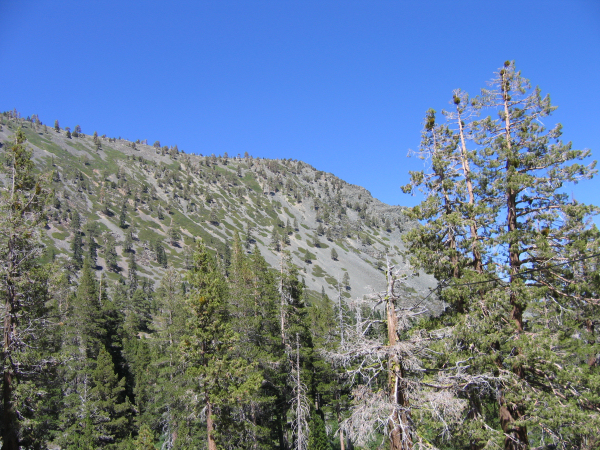 0756-CathedralSlope-R.JPG 452.8K