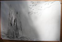 Thumb_0720-CharcoalTree.jpg 4.4K